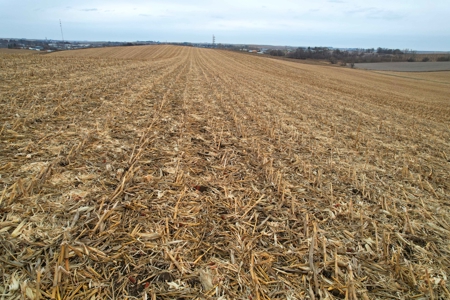 Carroll County Iowa Farmland Auction - image 27