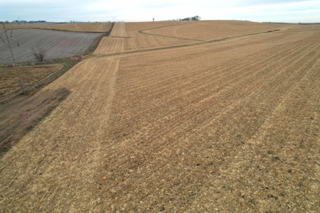 Carroll County Iowa Farmland Auction - image 35