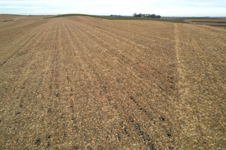 Carroll County Iowa Farmland Auction - image 34