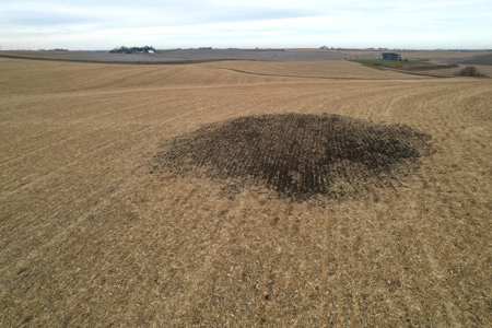 Carroll County Iowa Farmland Auction - image 14