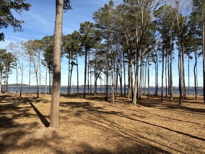Prime 112-Acre Pungo River Waterfront Land for Sale - image 12