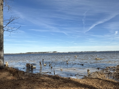 Prime 112-Acre Pungo River Waterfront Land for Sale - image 23