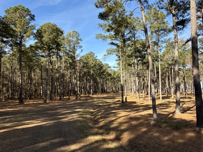 Prime 112-Acre Pungo River Waterfront Land for Sale - image 34