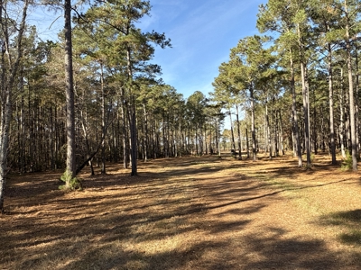 Prime 112-Acre Pungo River Waterfront Land for Sale - image 29