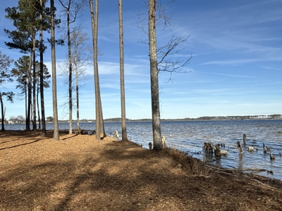 Prime 112-Acre Pungo River Waterfront Land for Sale - image 24