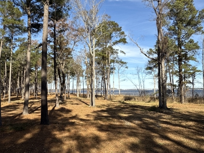 Prime 112-Acre Pungo River Waterfront Land for Sale - image 32