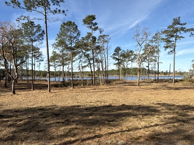 Prime 112-Acre Pungo River Waterfront Land for Sale - image 18