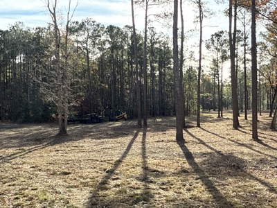 Prime 112-Acre Pungo River Waterfront Land for Sale - image 5