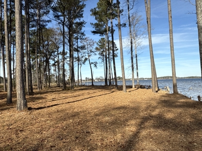 Prime 112-Acre Pungo River Waterfront Land for Sale - image 25