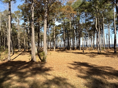 Prime 112-Acre Pungo River Waterfront Land for Sale - image 30