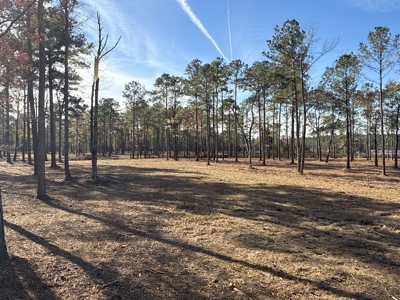 Prime 112-Acre Pungo River Waterfront Land for Sale - image 16