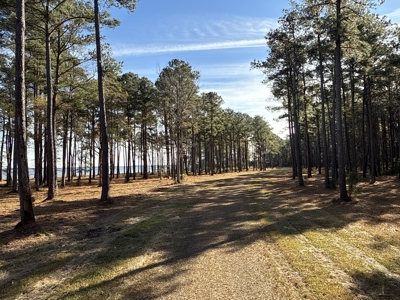 Prime 112-Acre Pungo River Waterfront Land for Sale - image 28