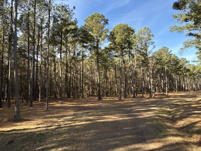 Prime 112-Acre Pungo River Waterfront Land for Sale - image 35