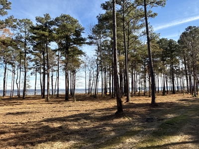 Prime 112-Acre Pungo River Waterfront Land for Sale - image 27