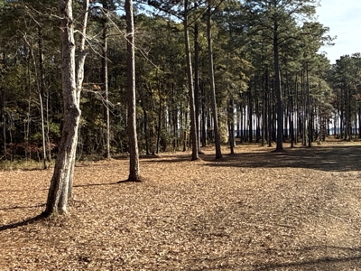 Prime 112-Acre Pungo River Waterfront Land for Sale - image 10