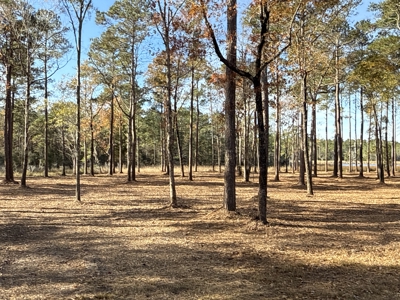 Prime 112-Acre Pungo River Waterfront Land for Sale - image 7