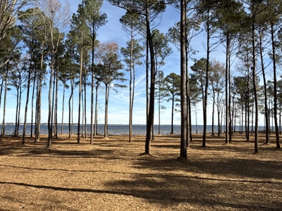 Prime 112-Acre Pungo River Waterfront Land for Sale - image 13