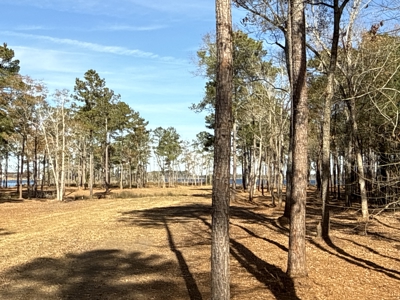 Prime 112-Acre Pungo River Waterfront Land for Sale - image 9