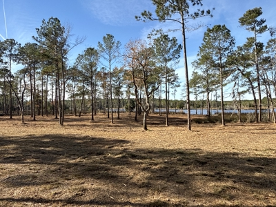 Prime 112-Acre Pungo River Waterfront Land for Sale - image 17