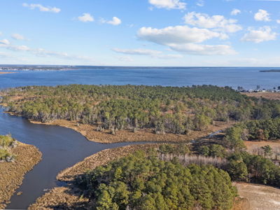 Prime 112-Acre Pungo River Waterfront Land for Sale - image 3