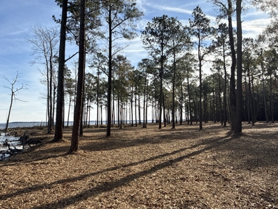 Prime 112-Acre Pungo River Waterfront Land for Sale - image 20