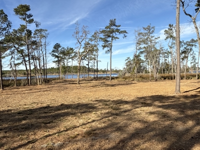 Prime 112-Acre Pungo River Waterfront Land for Sale - image 19