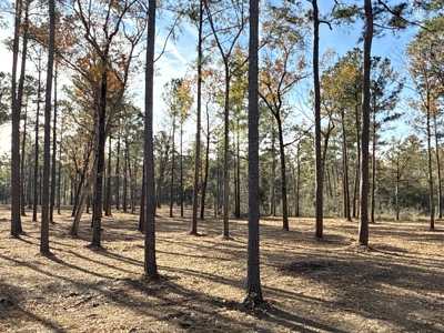 Prime 112-Acre Pungo River Waterfront Land for Sale - image 6