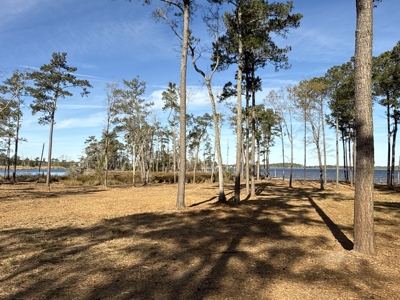 Prime 112-Acre Pungo River Waterfront Land for Sale - image 11