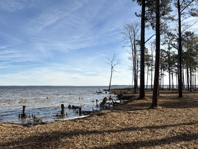 Prime 112-Acre Pungo River Waterfront Land for Sale - image 21