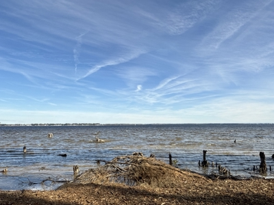 Prime 112-Acre Pungo River Waterfront Land for Sale - image 22