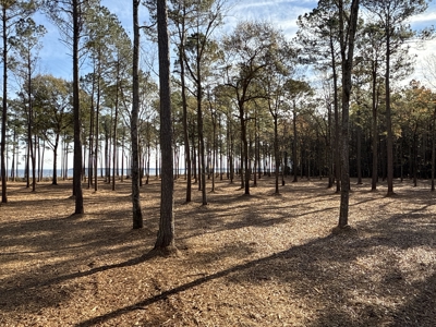 Prime 112-Acre Pungo River Waterfront Land for Sale - image 15