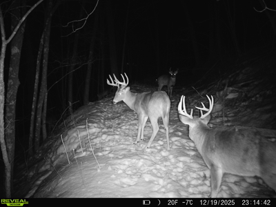 100 +/- Acre Ridge-Top Driftless Retreat in Crawford County WI - image 25