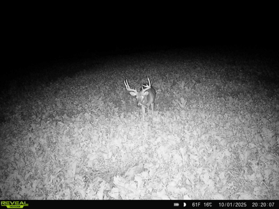 100 +/- Acre Ridge-Top Driftless Retreat in Crawford County WI - image 33