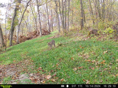100 +/- Acre Ridge-Top Driftless Retreat in Crawford County WI - image 37