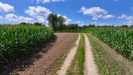 100 +/- Acre Ridge-Top Driftless Retreat in Crawford County WI - image 8
