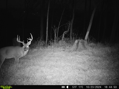 100 +/- Acre Ridge-Top Driftless Retreat in Crawford County WI - image 35