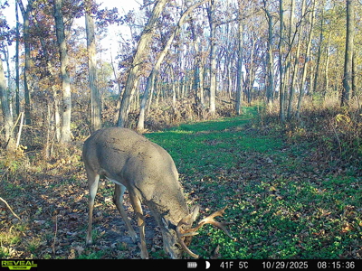 100 +/- Acre Ridge-Top Driftless Retreat in Crawford County WI - image 34