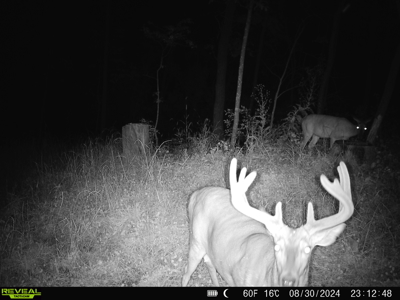 100 +/- Acre Ridge-Top Driftless Retreat in Crawford County WI - image 36