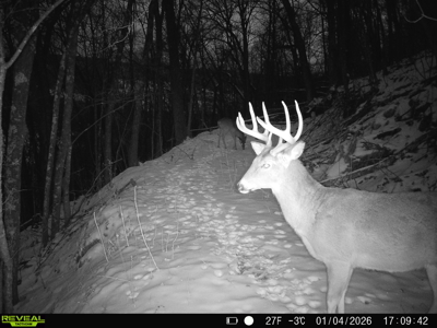 100 +/- Acre Ridge-Top Driftless Retreat in Crawford County WI - image 47