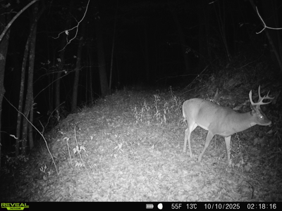 100 +/- Acre Ridge-Top Driftless Retreat in Crawford County WI - image 42