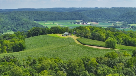 100 +/- Acre Ridge-Top Driftless Retreat in Crawford County WI - image 2