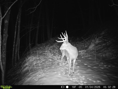 100 +/- Acre Ridge-Top Driftless Retreat in Crawford County WI - image 45