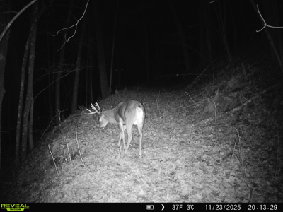 100 +/- Acre Ridge-Top Driftless Retreat in Crawford County WI - image 39