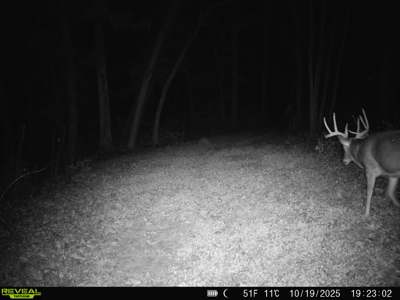 100 +/- Acre Ridge-Top Driftless Retreat in Crawford County WI - image 28