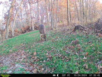 100 +/- Acre Ridge-Top Driftless Retreat in Crawford County WI - image 38