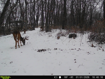 100 +/- Acre Ridge-Top Driftless Retreat in Crawford County WI - image 48