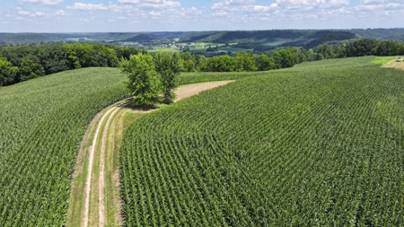 100 +/- Acre Ridge-Top Driftless Retreat in Crawford County WI - image 5
