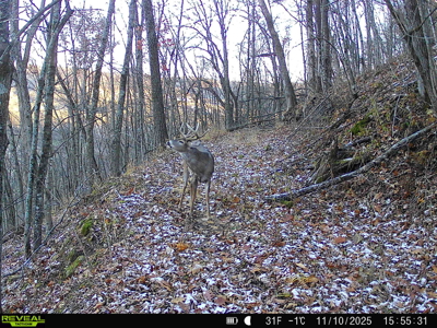 100 +/- Acre Ridge-Top Driftless Retreat in Crawford County WI - image 40