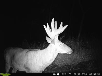 100 +/- Acre Ridge-Top Driftless Retreat in Crawford County WI - image 26