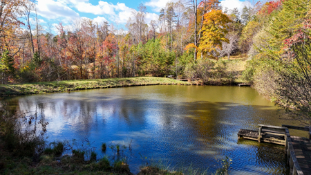 Cabin and 23.51 Acres For Sale in Patrick County, Virginia - image 31